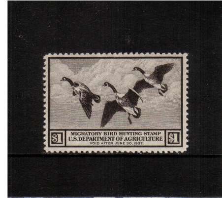 view larger image for Federal Ducks Federal Ducks: SG Number  / Scott Number $1 (1936) - Migratory Bird Hunting and Conservation Stamp<br/>
Inscribed 'Void after June 30th, 1936'<br/>
A fine very, very lightly mounted mint single.