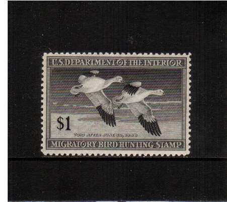 view larger image for Federal Ducks Federal Ducks: SG Number  / Scott Number $1 (1947) - Migratory Bird Hunting and Conservation Stamp<br/>
Inscribed 'Void after June 30th, 1948'<br/>
A superb unmounted mint single.