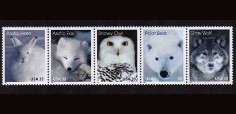 view larger image for  : SG Number 3572a / Scott Number 3292a (1999) - Arctic Animals<br/>
Horizontal strip of 5