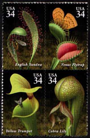 view larger image for  : SG Number 3997a / Scott Number 3531a (2001) - Carnivorous Plants - block of 4
<br/>
<br/>
Self Adhesive