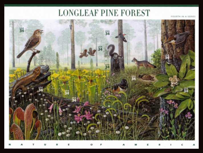 view larger image for  : SG Number MS4089 / Scott Number 3611 (2002) - Nature of America - Longleaf Pine Forest <br/>sheetlet  number 4<br/>
<br/>
Self adhesive