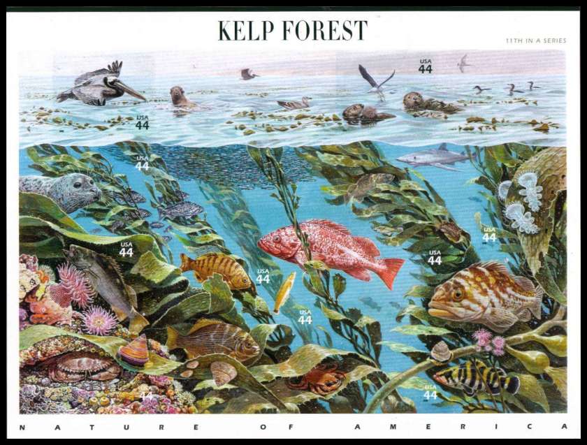 view larger image for  : SG Number MS5001 / Scott Number 4423 (2009) - Nature of America - Kelp Forest<br/.
sheetlet number 11
<br/><br/>Self Adhesive