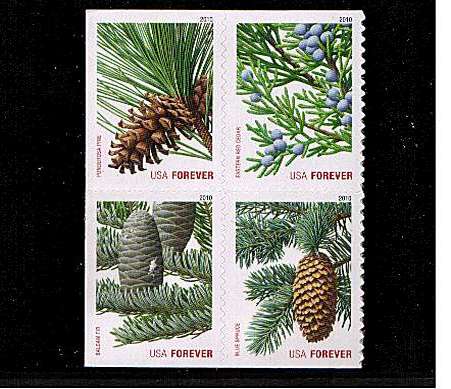 view larger image for  : SG Number 5066-5069 / Scott Number 4481a (2010) - Christmas<br/>
Evergreens block of four
from double sided booklet
<br/><br/>Self Adhesive