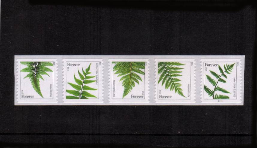 view larger image for  : SG Number  / Scott Number 4973a-4977a (2015) - Ferns<br/>
Coil strip of five with 2015 at side
<br/><br/>
Self Adhesive